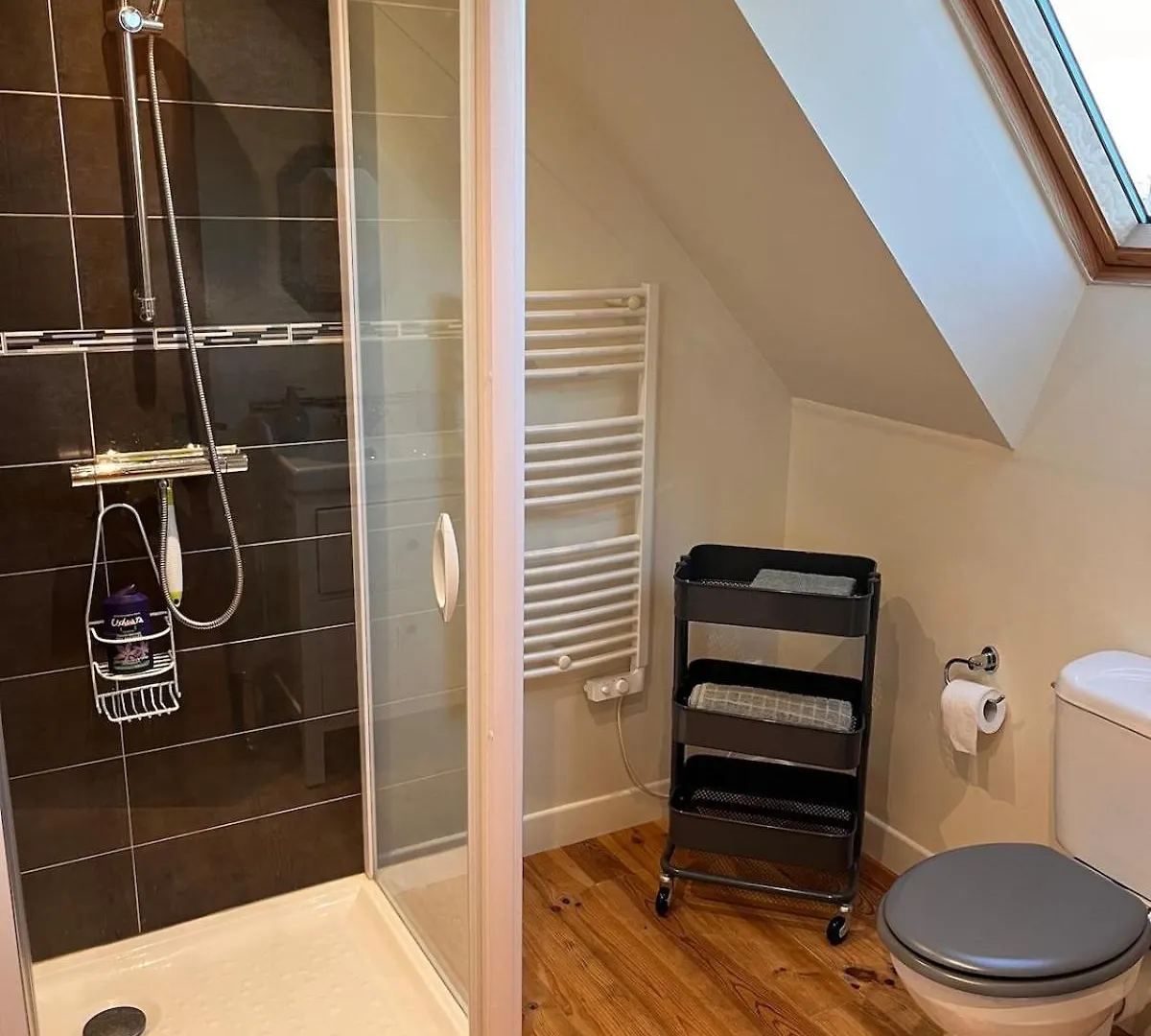 Petit Loft De Charme En Centre Bretagne Appartement La Croix-Helléan Frankrijk